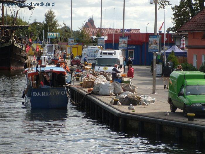 Dorsze i śledzie z portu w Darłówku