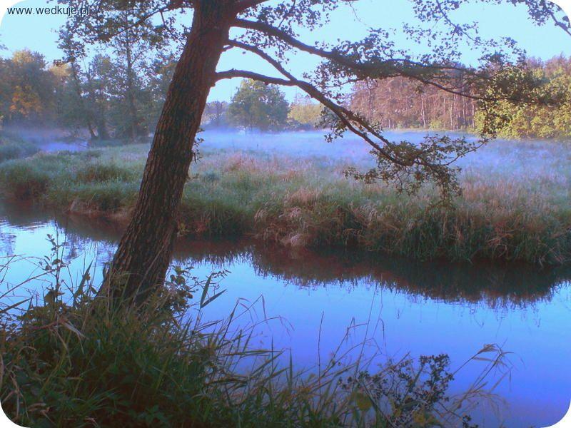 Mroga-Głowno