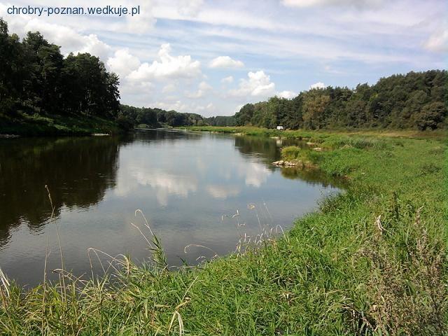 Warciańskie bezrybie - zawody spinningowe koła Chrobry