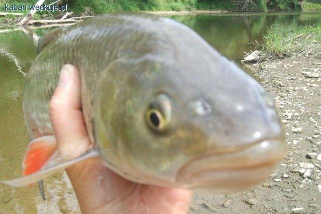Chyba mój najlepszy dzień tegorocznego lata