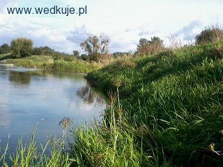 Rzeka Warta Sieraków