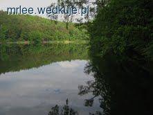 Rozważania znudzonego wędkarza...
