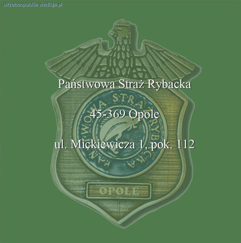Sprawozdanie za II kwartał PSR Opole 2012