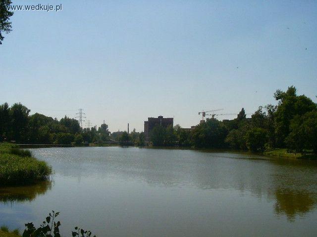 Staw przy ulicy Przędzalnianej - Przędzalka