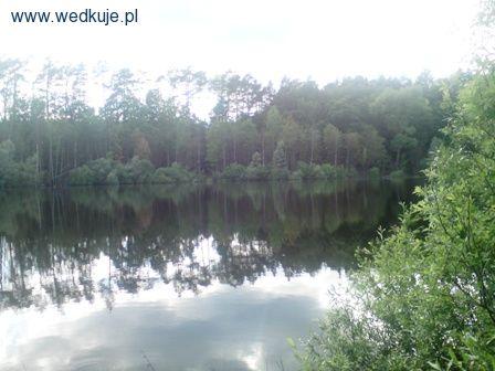Jezioro Lubieńko