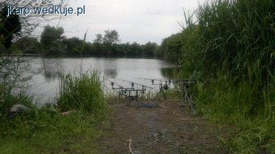 Wyprawa w nieznane - Testerzy Gold Carp Baits nad wodą PZW