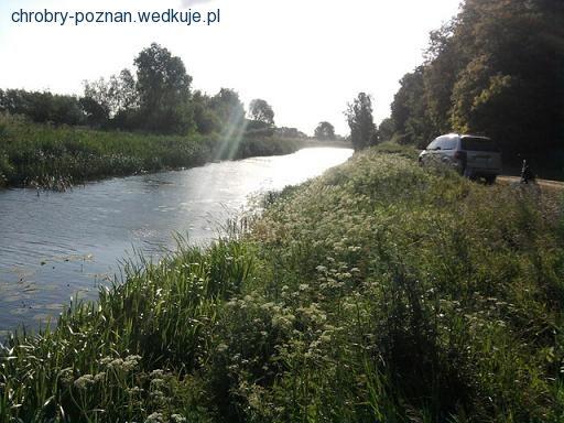 Zawody spławikowe koła 168 kanał Wojnowice 02.06.12