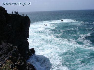 Castle Point Irlandia- makrelowe eldorado