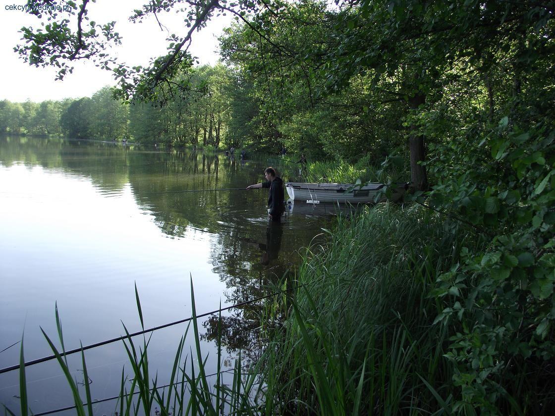 Zawody o mistrza koła nr. 76 w Cekcynie 20.05.12r. j. Zadworne