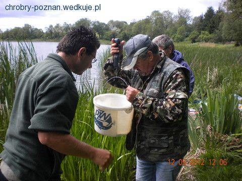 Na jeziorze Owieczki - z nadziejami