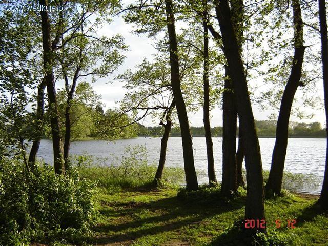 Jezioro Ostrowo (Wyspa)
