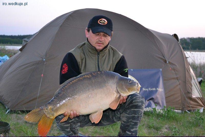 Karpiowe Podróże z Gold Carp Baits