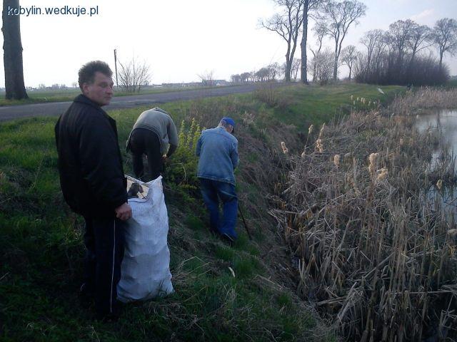 Sprzątanie stawów w Górce i przy ul. Grobla w Kobylinie
