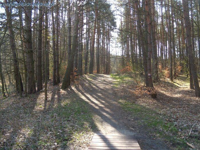Uroczysko nad jeziorem
