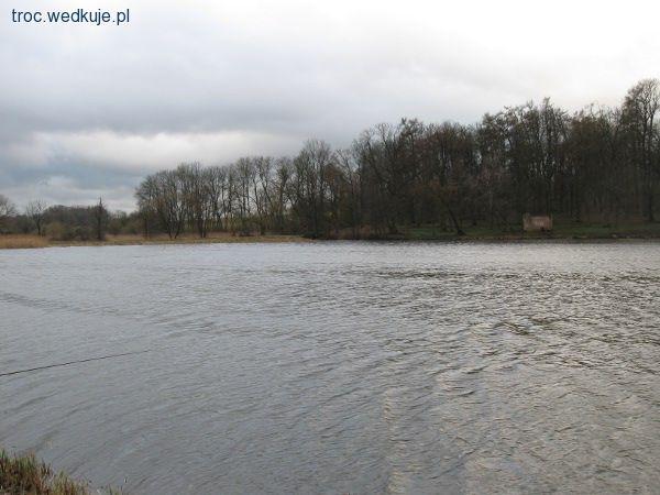 Wiosenne spotkanie