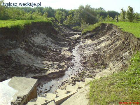 Wycinka drzew, czyli likwidacja rzecznych stołówek.