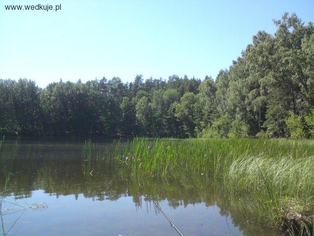 Jezioro Piaseczno - Kujawsko Pomorskie