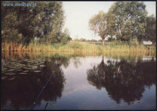 Staw Trzos