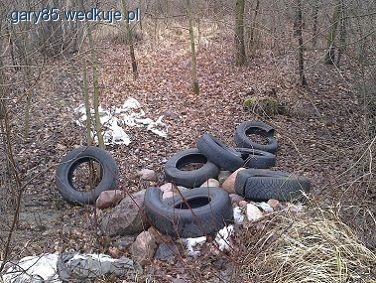 Made in Poland