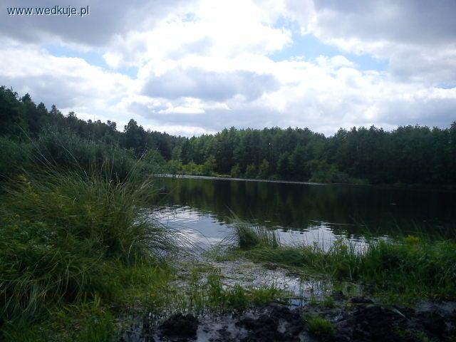 Doły potorfowe w Borowcu