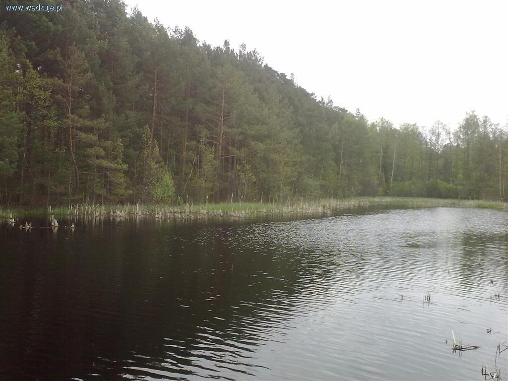 Zbiornik Lipie PZW Radom