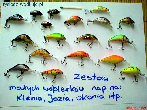 Zestaw na klenia i jazia w moim wydaniu.