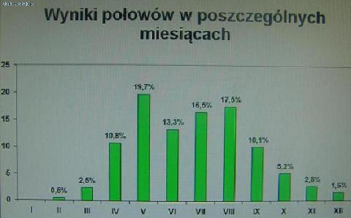 Wyniki połowów, a kalendarz brań