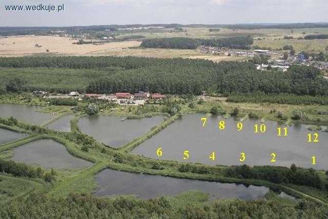 Łowisko specjalne Kormoran