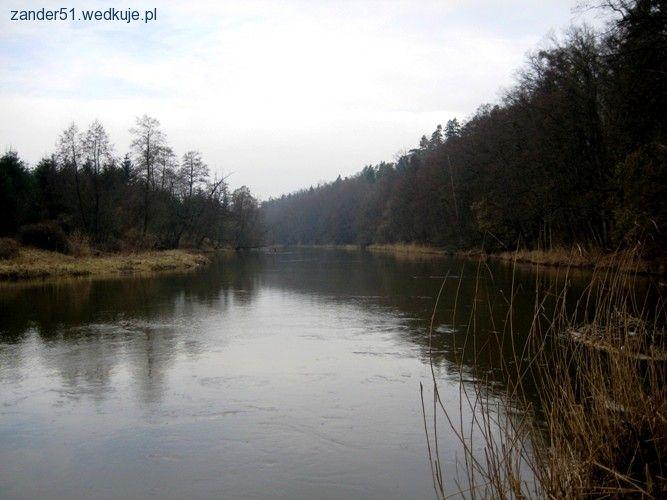 Pierwszy jaź