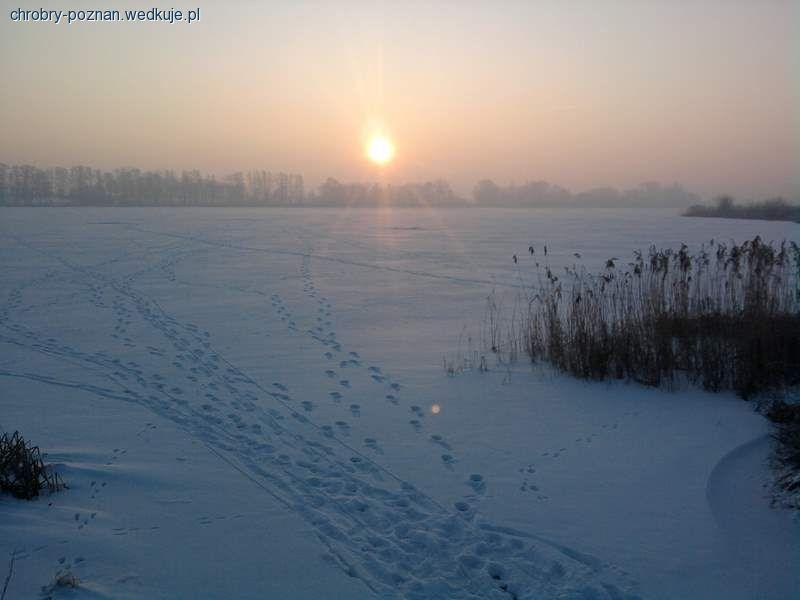 Podlodowe zawody koła 168 Chrobry 12.02.12