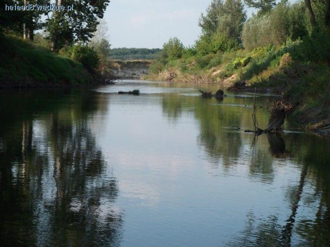 Wierny rzece