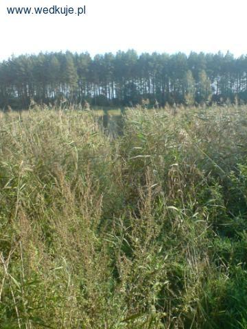 Jezioro Łączyn