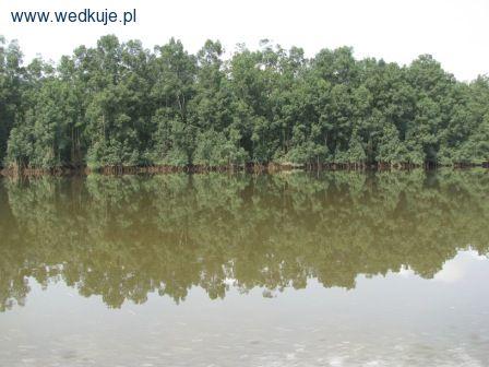 Laguny Estuaire du Gabon