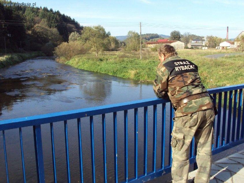 Rzeka Bóbr Kamienna Góra-Ciechanowice