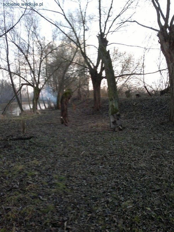 Sprzątanie terenu wokół Jeziora Piwonińskiego