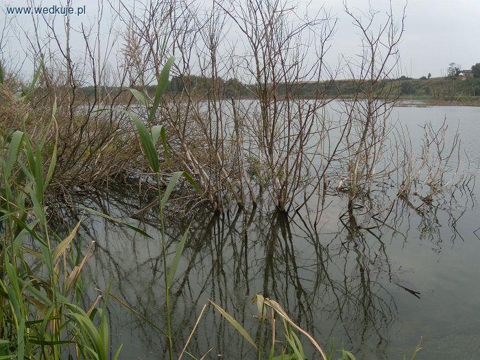 Dolina Cybiny (uzupelnienie)
