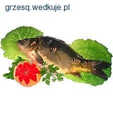 Golonko w miłym towarzystwie.