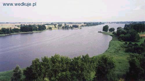 Jezioro Brdowskie