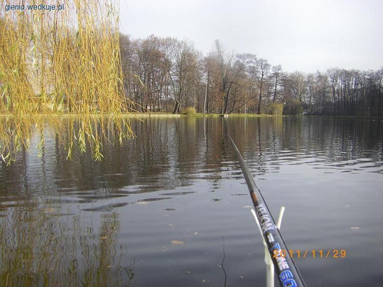 Na Potuliku płoci bez liku