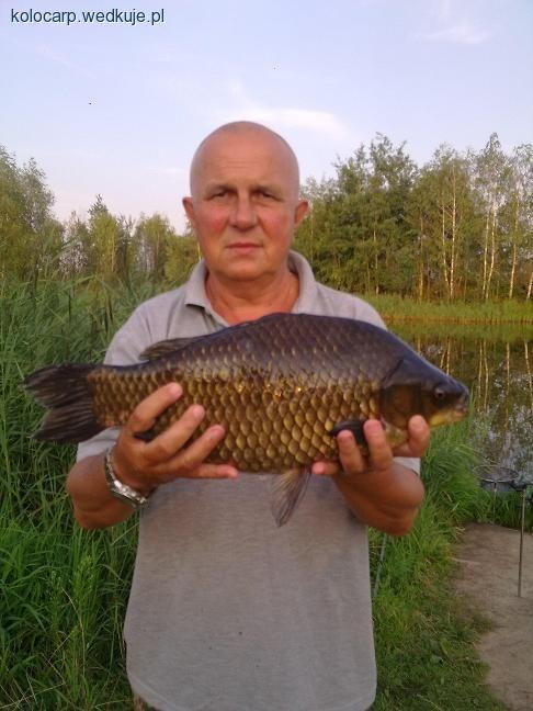 Karasiowy sen