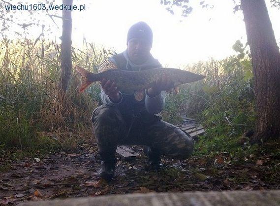 Listopadowy wypad na jezioro Leśne