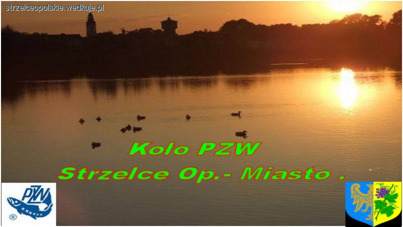 Walne Zebranie Sprawozdawcze - Strzelce Opolskie-Podsumowanie roku 2011 .