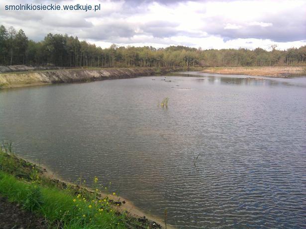 Smolniki Osieckie-przepisy,zasady łowienia
