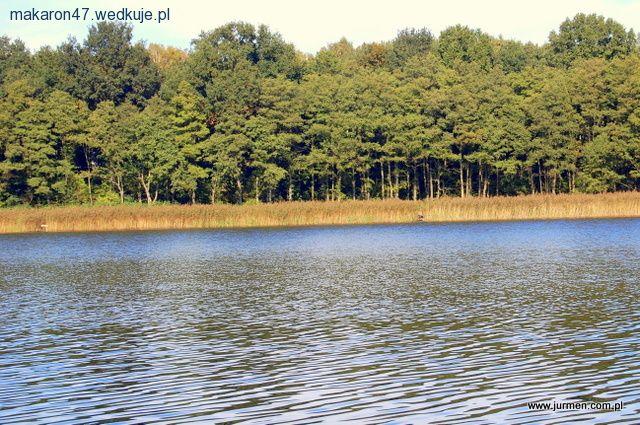 I Mistrzostwa Koszalińskiego Okręgu PZW w wędkarstwie gruntowym