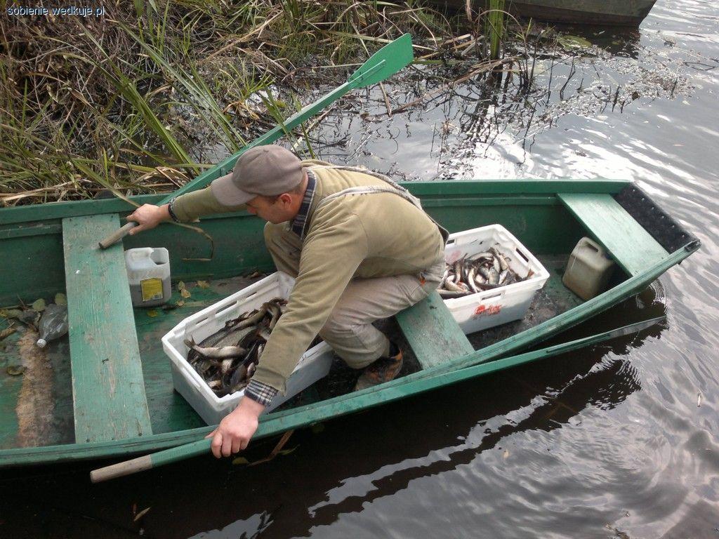 300 kg drapieżników trafiło do Piwonina