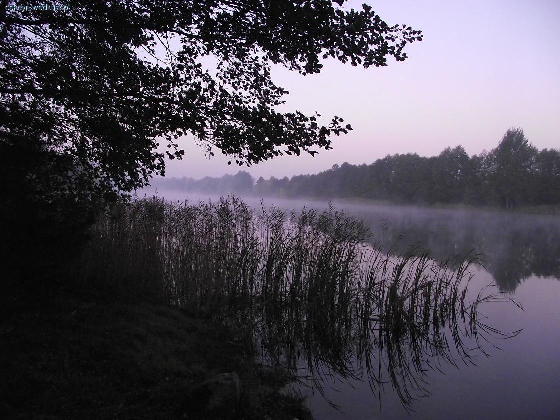 Największa ryba - jesień 23.10.11r. J. Chłodne