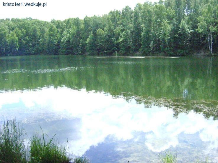 Moje linowisko