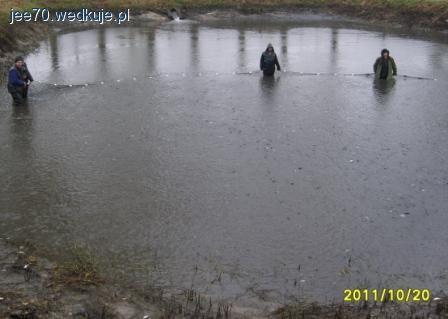 Zarybienie Radzanowa 20.1011