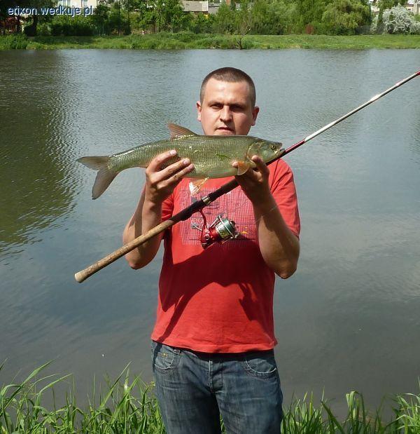 Hol bolenia 58cm Zalew Lipsko