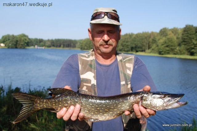 Festyn wędkarski Puchar Babiego Lata-koło Złota Rybka Koszalin